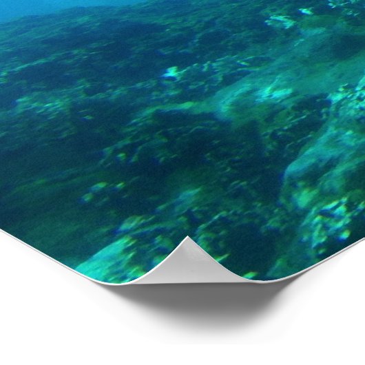 Poster Dauphin Duo (Coin)