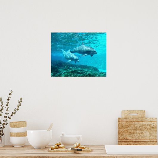 Poster Dauphin Duo (Cuisine)