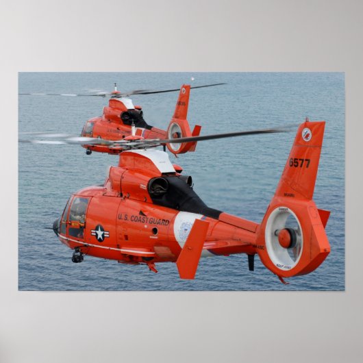 Poster Dauphin HH-65 (Devant)