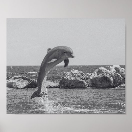 Poster Dauphin noir et blanc Tropical Printable Art (Devant)
