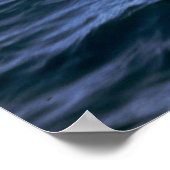 Poster Dauphin renversé (Coin)