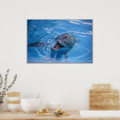 Poster Dauphin souriant (Cuisine)