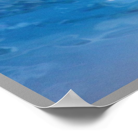 Poster Dauphin souriant (Coin)