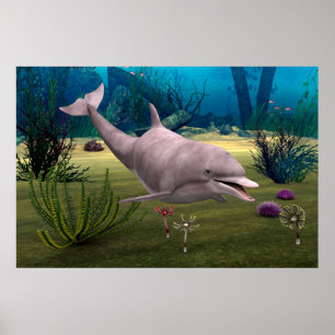 Poster Dauphin souriant