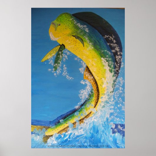 Poster Dauphin volant (Devant)