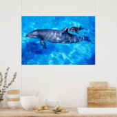 Poster dauphins (Cuisine)
