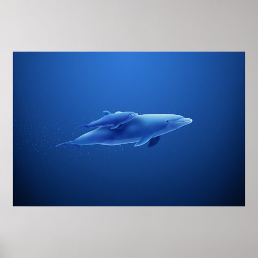 Poster Dauphins (Devant)