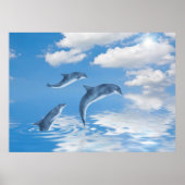 Poster Dauphins (Devant)