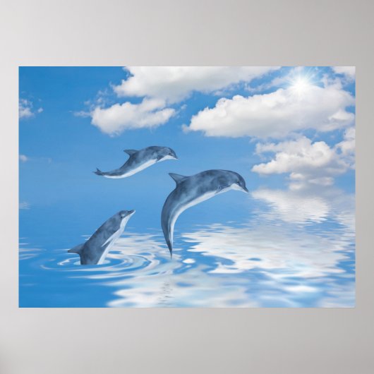 Poster Dauphins (Devant)