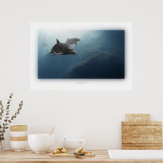 Poster dauphins (Cuisine)