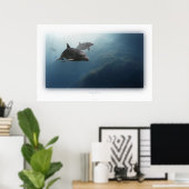 Poster dauphins (Bureau à domicile)