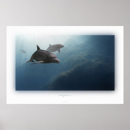 Poster dauphins (Devant)