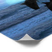 Poster Dauphins au clair de lune (Coin)