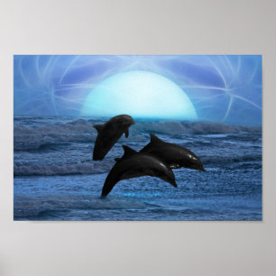 Poster Dauphins au clair de lune