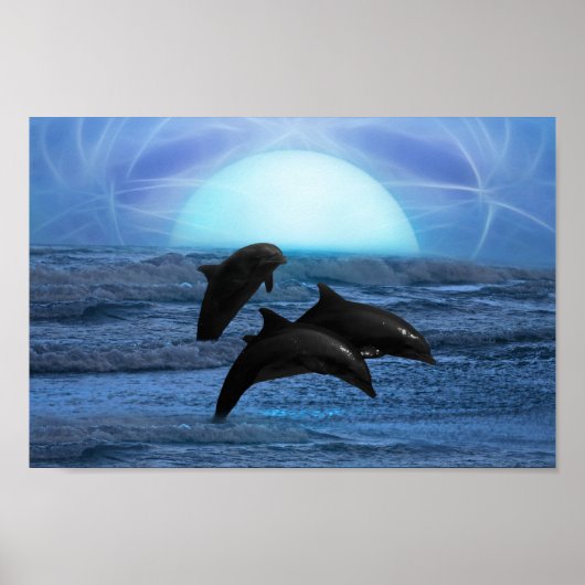 Poster Dauphins au clair de lune (Devant)