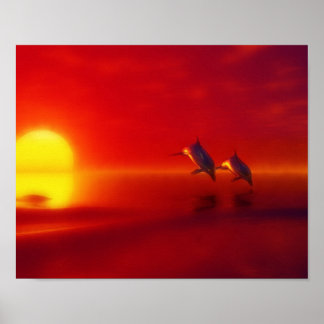 Poster dauphins au coucher du soleil