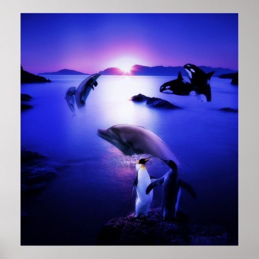Poster Dauphins de baleines pingouins coucher de soleil s (Devant)