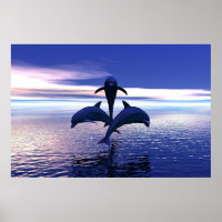 Dauphins du début du matin