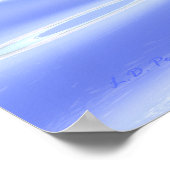 Poster Dauphins en course (Coin)
