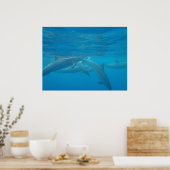Poster Dauphins hawaïens spineurs sous-marins (Cuisine)