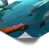 Poster Dauphins Nager sous l'eau (Coin)