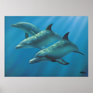 Poster Dauphins par Andrew Patsalou