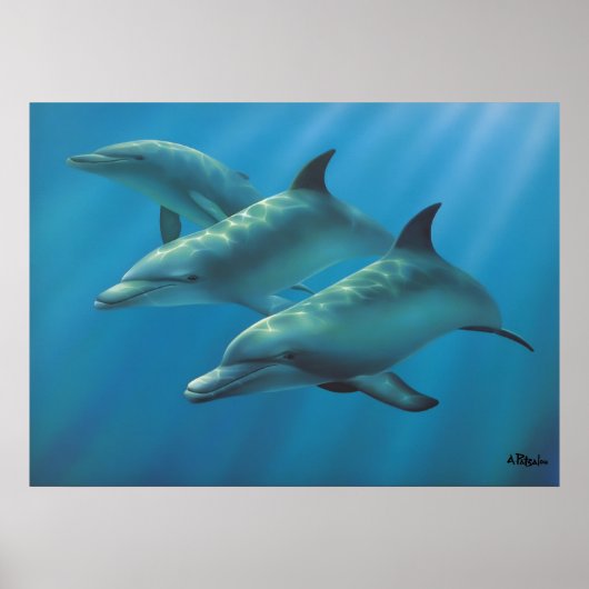 Poster Dauphins par Andrew Patsalou (Devant)