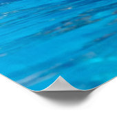 Poster Dauphins souriants (Coin)