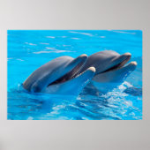 Poster Dauphins souriants (Devant)
