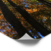 Poster d'automne (Coin)