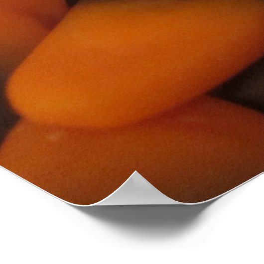 Poster d'automne Candy Corn (Coin)