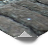 Poster d'automne de l'écureuil noir (Coin)