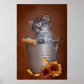Poster d'automne Kitten