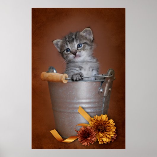 Poster d'automne Kitten (Devant)
