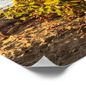 Poster d'automne Waterscape (Coin)