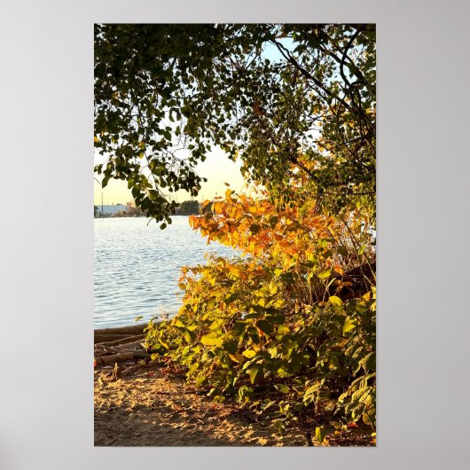 Poster d'automne Waterscape (Devant)