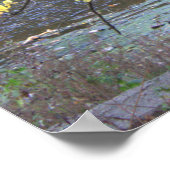 Poster d'automne Waterscape (Coin)