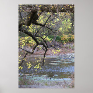 Poster d'automne Waterscape