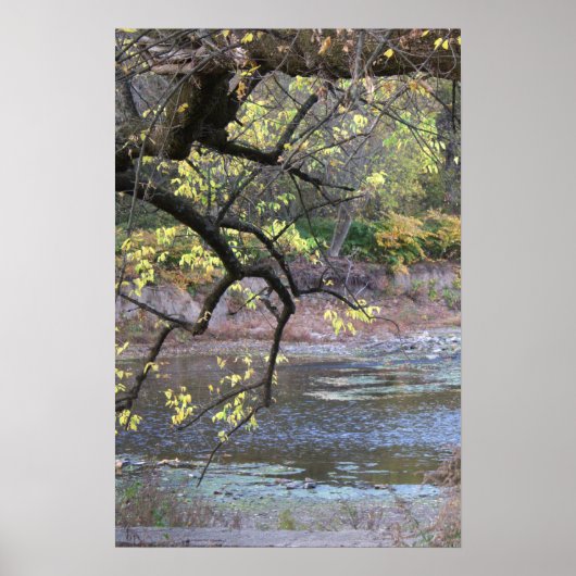 Poster d'automne Waterscape (Devant)