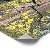 Poster d'automne Waterscape (Coin)