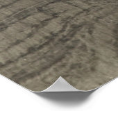 Poster d'aventure vintage Mt. Cook (Coin)