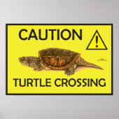 Poster d'avertissement croiser tortue (Devant)