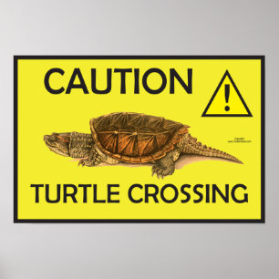 Poster d'avertissement croiser tortue
