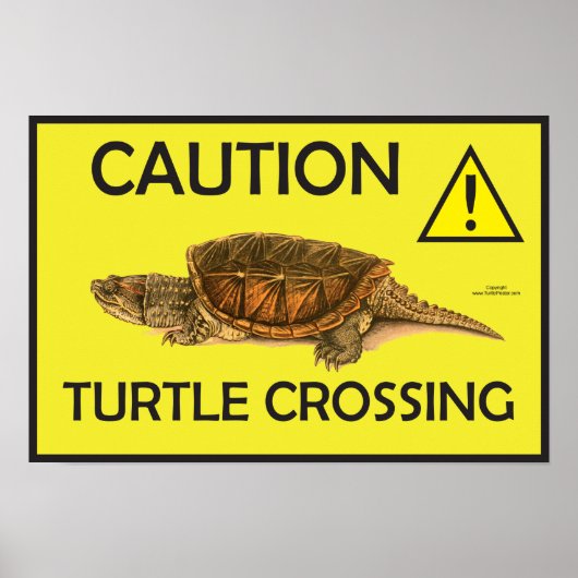 Poster d'avertissement croiser tortue (Devant)