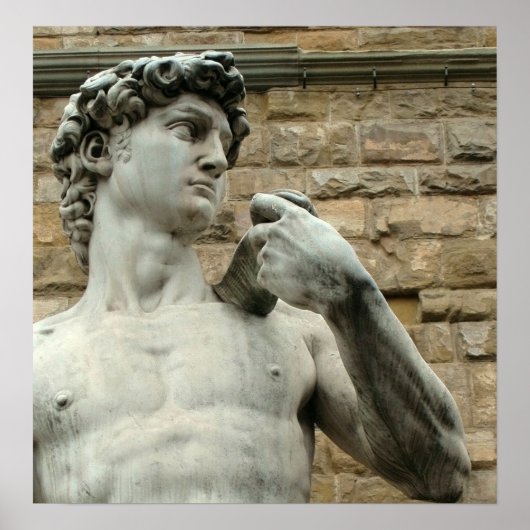 Poster David 1 van Michelangelo (Voorkant)