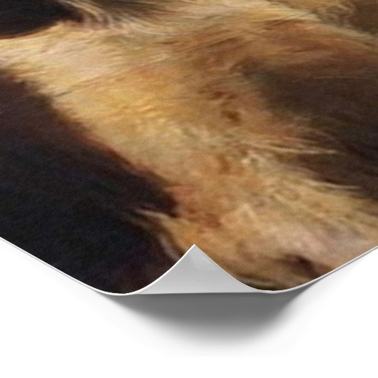 Poster David Attenborough Portrait (Coin)