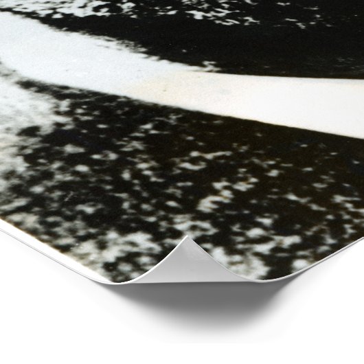 Poster David Herbert Lawrence (Coin)