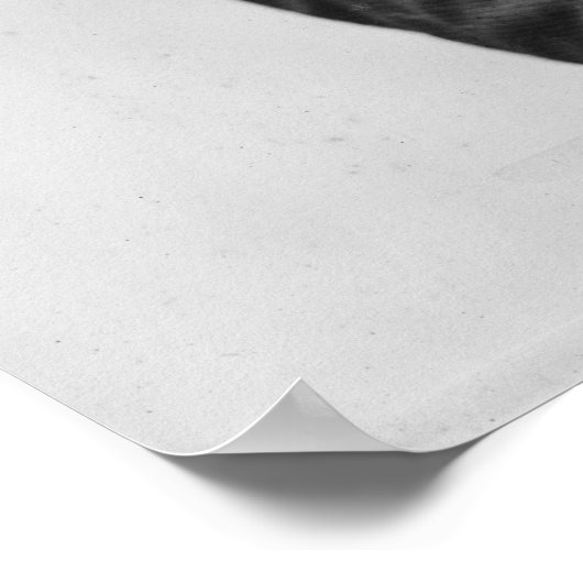 Poster David Herold (Coin)