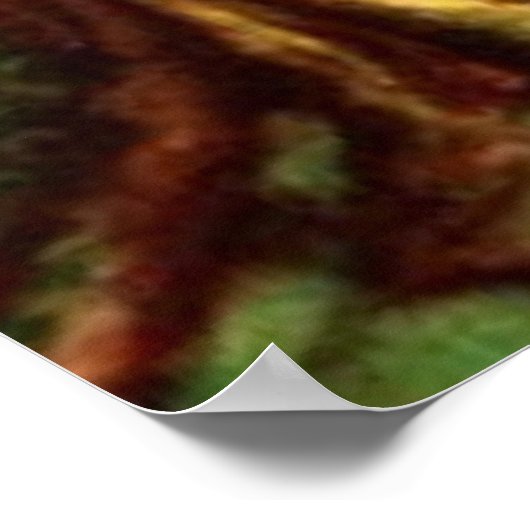 Poster David Le Berger (Coin)