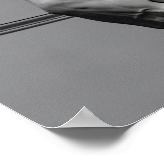 Poster DAVID par MICHELANGELO (Coin)